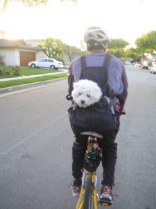 Simon and obi biking