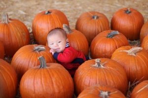 ethan likes pumpkin