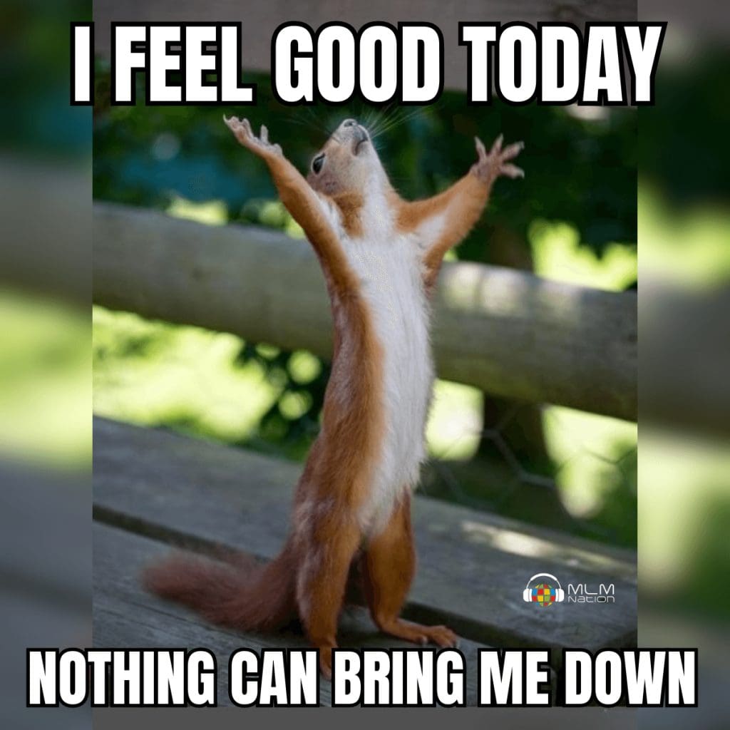 Meme of squirrel for MLM Motivational tips and network marketing quotes