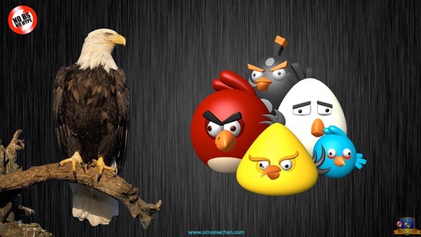 mlm-training-9-types-of-prospects-angry-birds.029